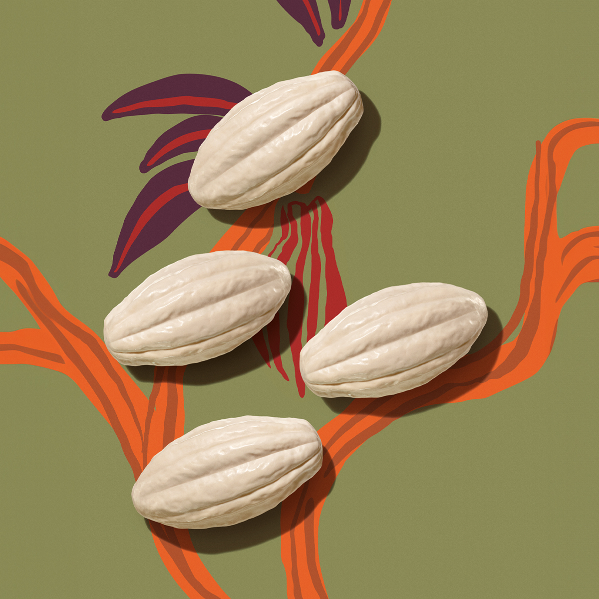 Jabón en barra Ekos Cacao - 4 unidades de 100g - Edición Limitada