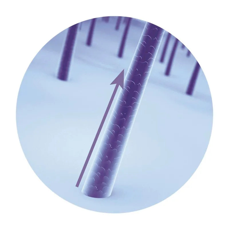 Siàge Accelerates Growth Shampoo 250ml