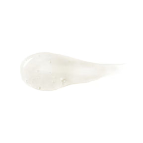 Champú Siàge Pro Chronology 250 ml 